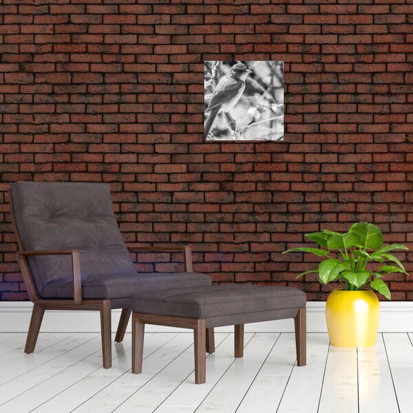 Obraz - Modrý pták v zimě (30x30 cm)