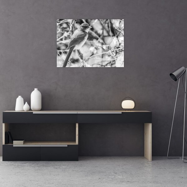 Obraz - Modrý pták v zimě (70x50 cm)