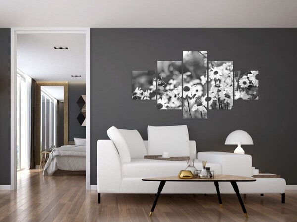 Obraz - Kopretiny (125x70 cm)