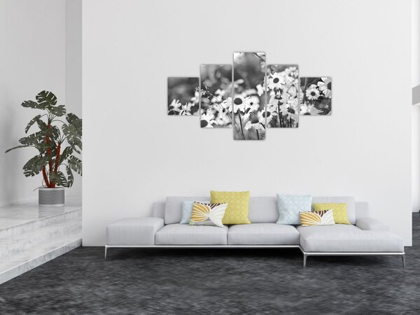 Obraz - Kopretiny (125x70 cm)
