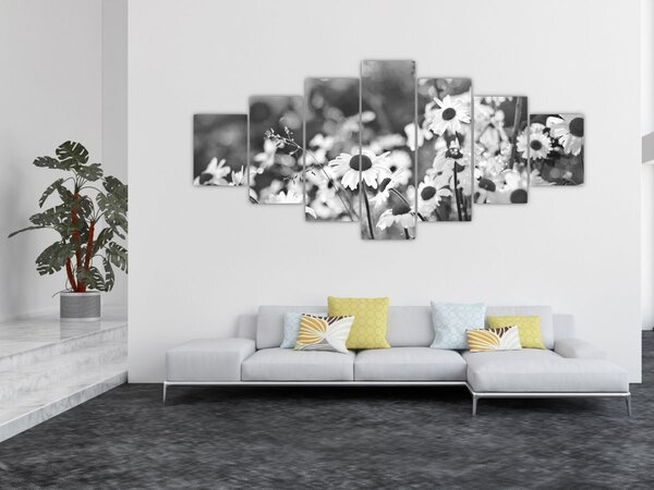 Obraz - Kopretiny (210x100 cm)