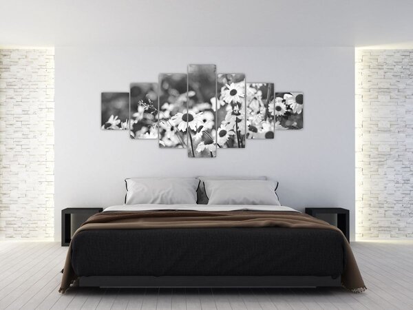 Obraz - Kopretiny (210x100 cm)