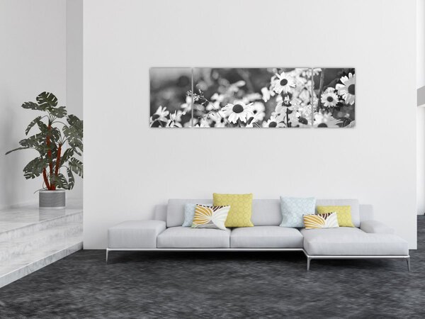 Obraz - Kopretiny (170x50 cm)