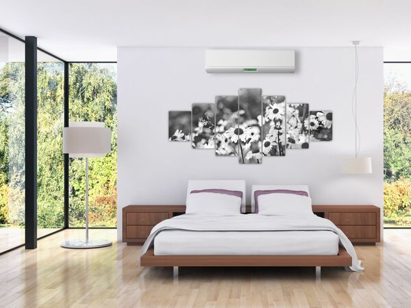 Obraz - Kopretiny (210x100 cm)