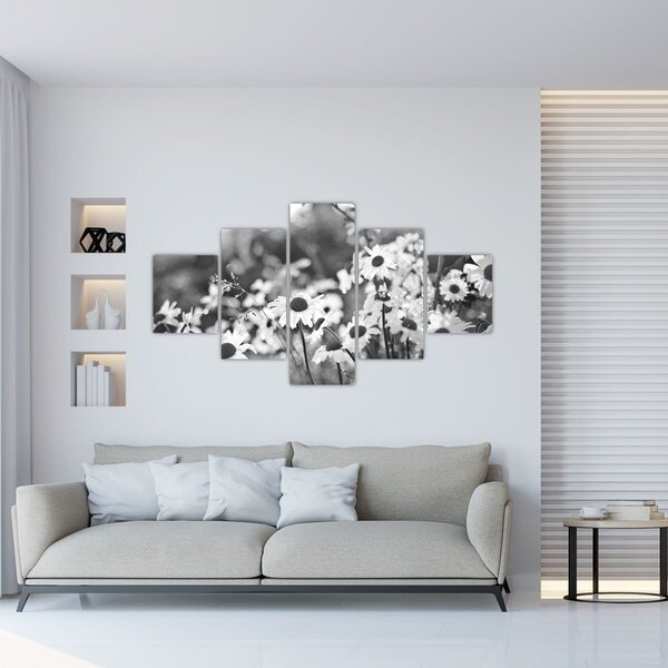 Obraz - Kopretiny (125x70 cm)
