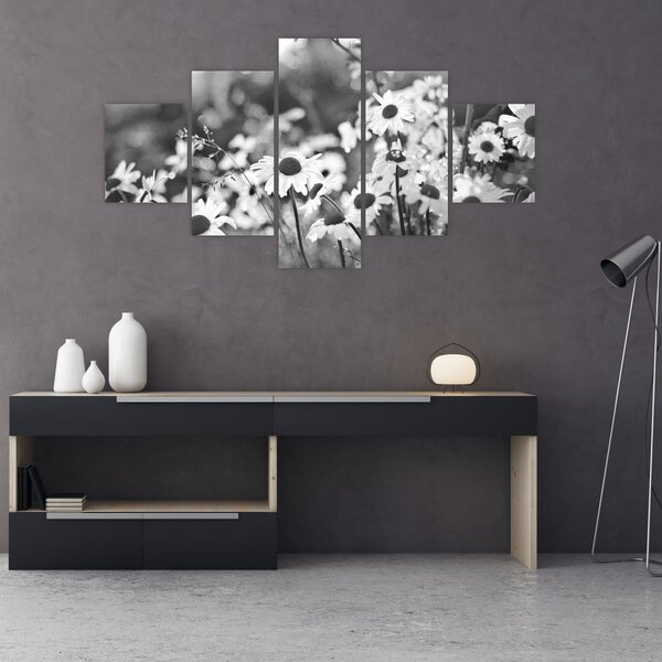 Obraz - Kopretiny (125x70 cm)