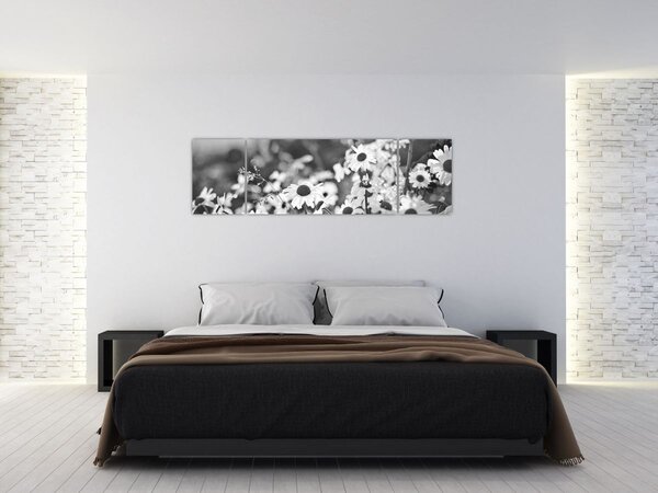 Obraz - Kopretiny (170x50 cm)