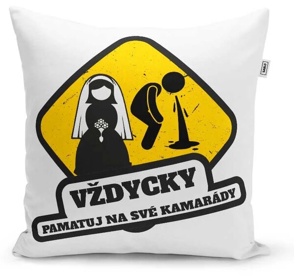Sablio Polštář Vždycky pamatuj na svoje kamarády: 40x40 cm