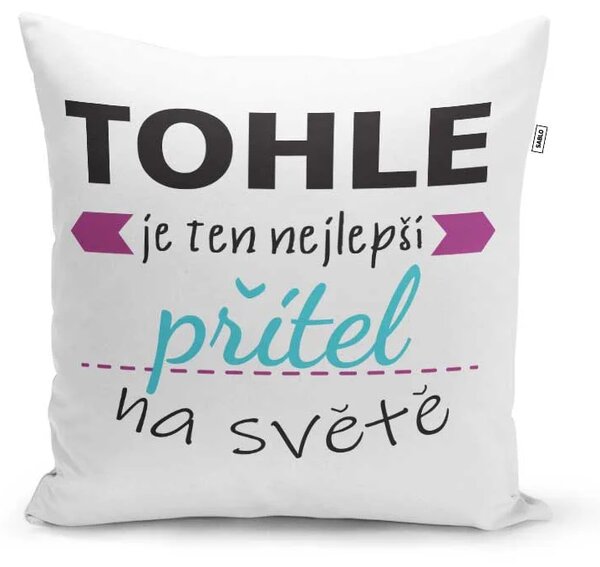 Sablio Polštář Tohle je ten nejlepší přítel na světě: 40x40 cm