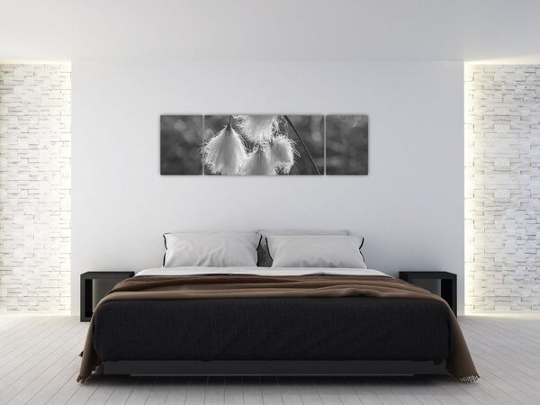 Obraz - Cottongrass (170x50 cm)