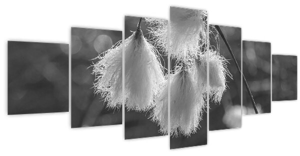Obraz - Cottongrass (210x100 cm)