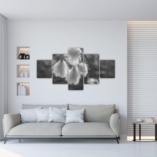 Obraz - Cottongrass (125x70 cm)