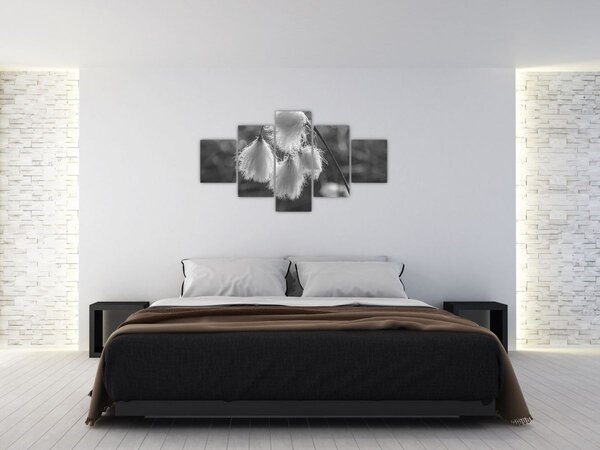 Obraz - Cottongrass (125x70 cm)