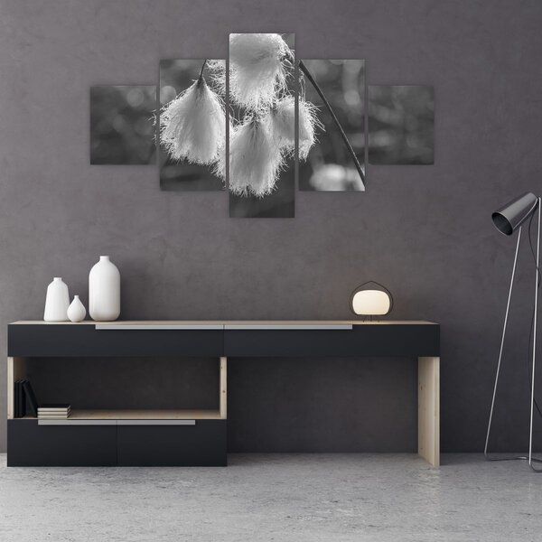 Obraz - Cottongrass (125x70 cm)