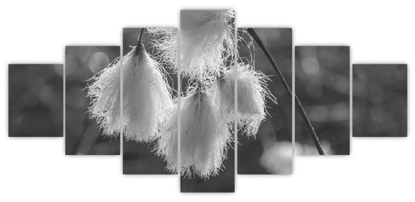 Obraz - Cottongrass (210x100 cm)
