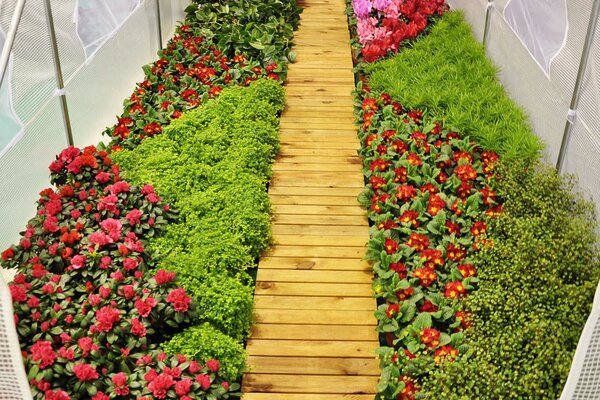 Home&Garden Fóliovník 250 x 400 cm, 10 m2, bílý, gramáž fólie 160 g/m2