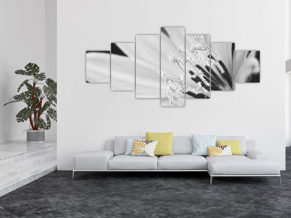 Obraz - Černobílá květina (210x100 cm)