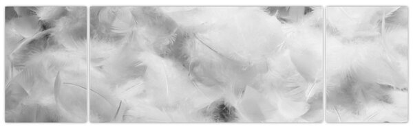 Obraz - Oblaka peří (170x50 cm)