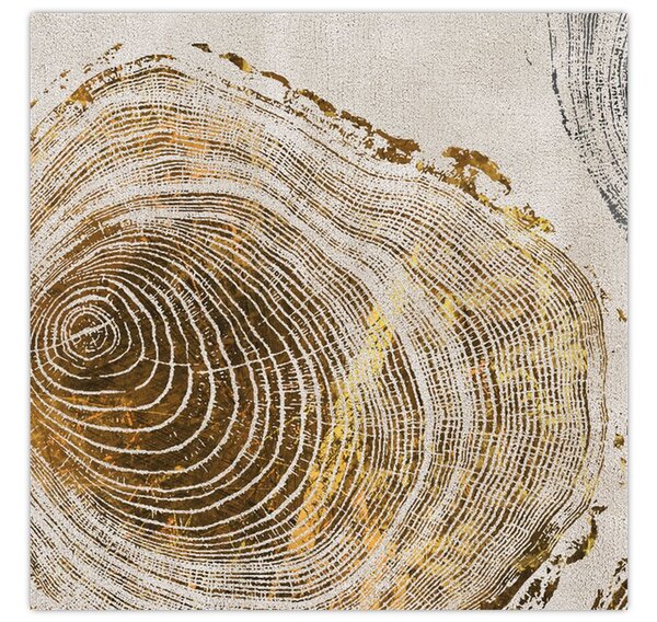 Obraz - Abstrakce kmenů (30x30 cm)