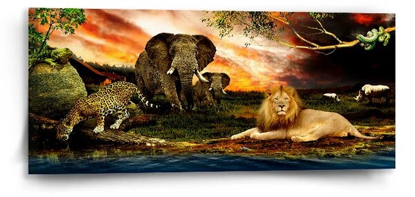 Sablio Obraz Zvířata ze Sahary - 110x50 cm