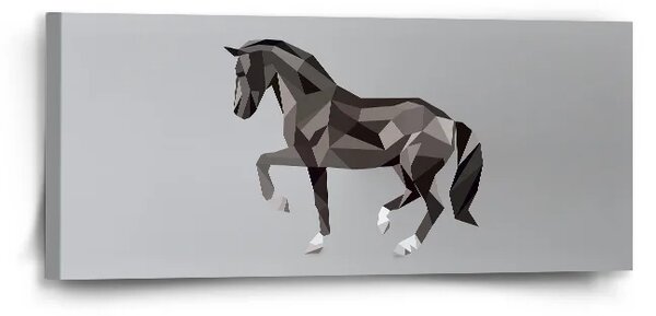 Sablio Obraz Kůň - 110x50 cm