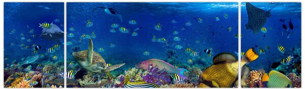Obraz - Oceán (170x50 cm)