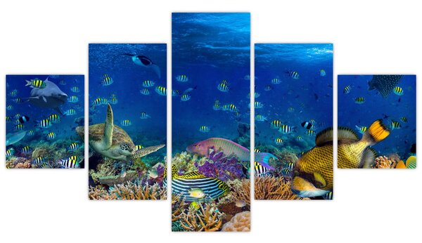 Obraz - Oceán (125x70 cm)