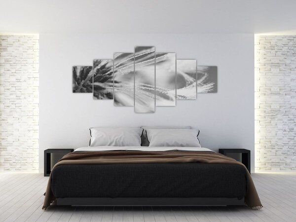 Obraz - Pampeliška (210x100 cm)