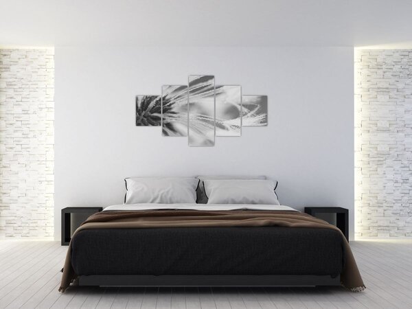 Obraz - Pampeliška (125x70 cm)