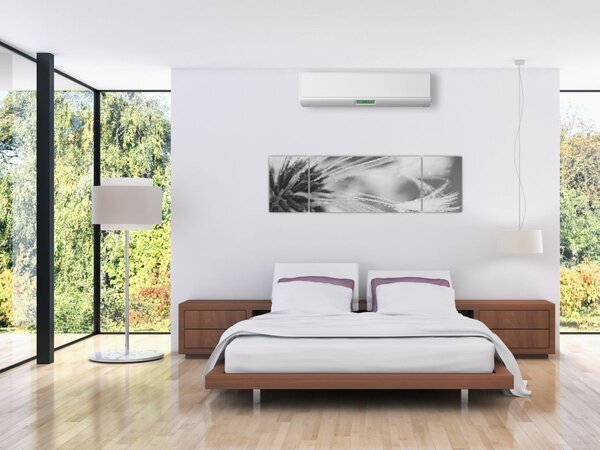 Obraz - Pampeliška (170x50 cm)