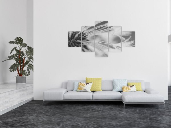 Obraz - Pampeliška (125x70 cm)