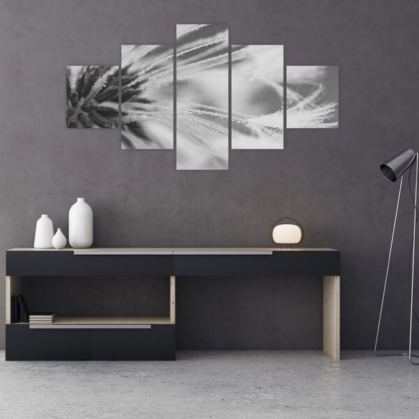 Obraz - Pampeliška (125x70 cm)