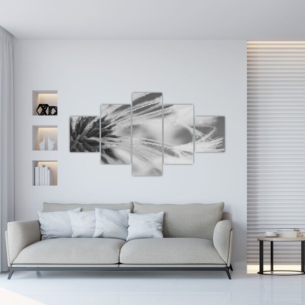 Obraz - Pampeliška (125x70 cm)