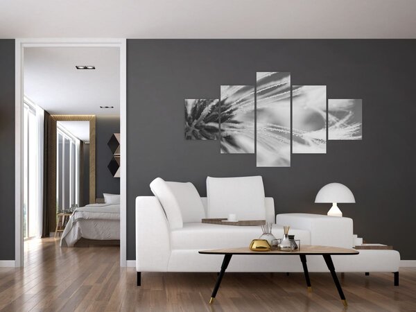 Obraz - Pampeliška (125x70 cm)
