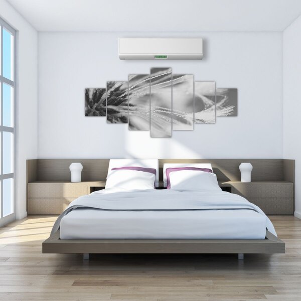 Obraz - Pampeliška (210x100 cm)
