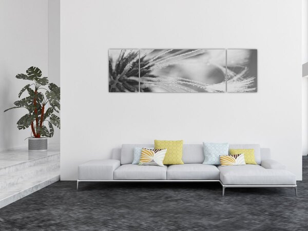 Obraz - Pampeliška (170x50 cm)