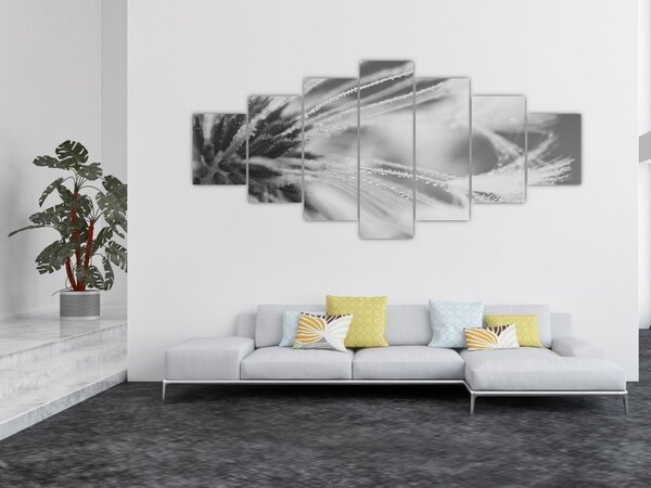 Obraz - Pampeliška (210x100 cm)