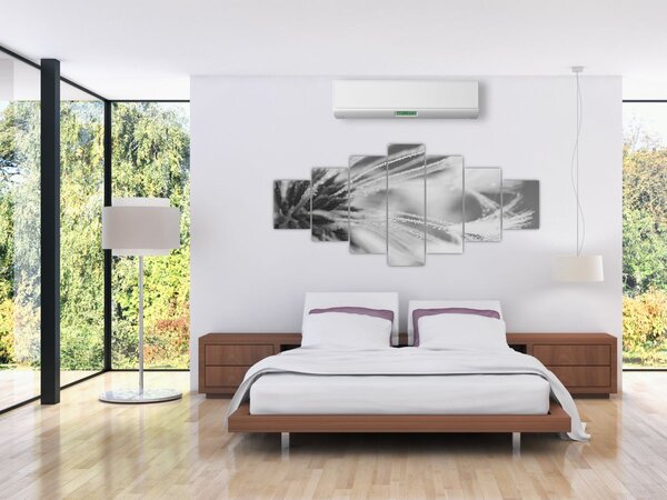Obraz - Pampeliška (210x100 cm)