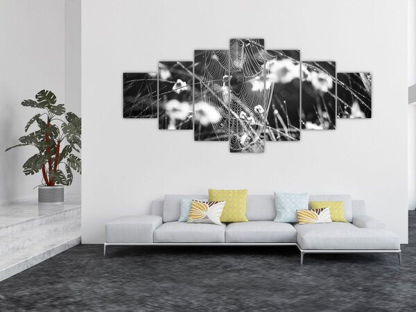 Obraz - Pavučina na louce (210x100 cm)
