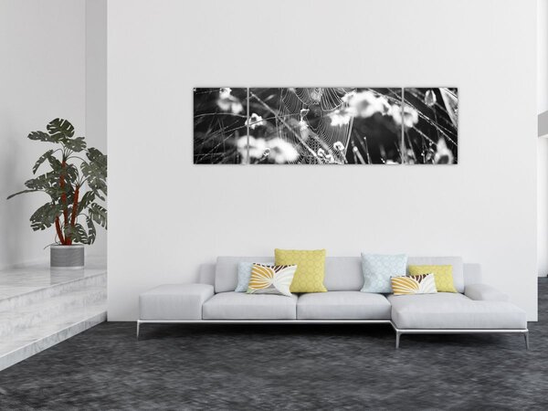 Obraz - Pavučina na louce (170x50 cm)