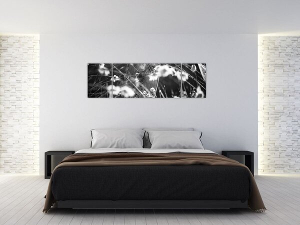 Obraz - Pavučina na louce (170x50 cm)