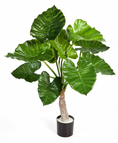Umělá rostlina Alacasia deluxe, 80cm