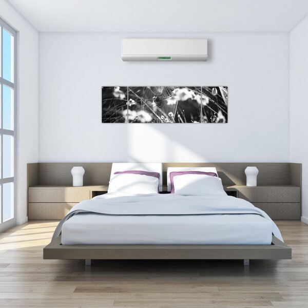Obraz - Pavučina na louce (170x50 cm)