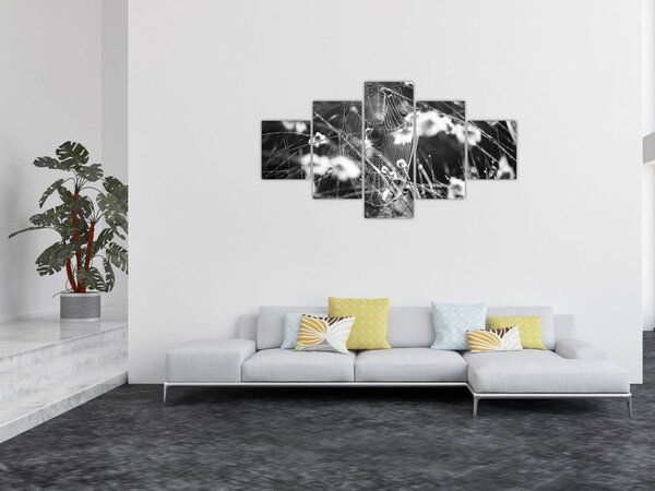 Obraz - Pavučina na louce (125x70 cm)