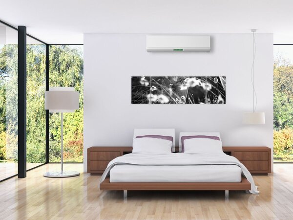 Obraz - Pavučina na louce (170x50 cm)