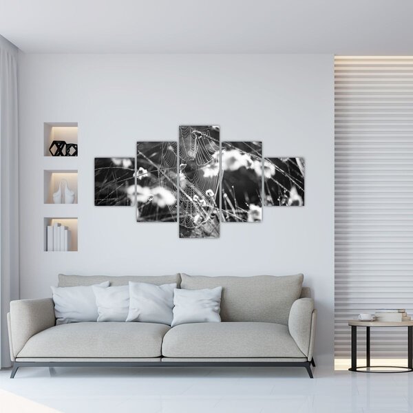 Obraz - Pavučina na louce (125x70 cm)
