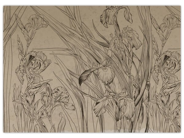 Obraz - Obrysy rostlin (70x50 cm)