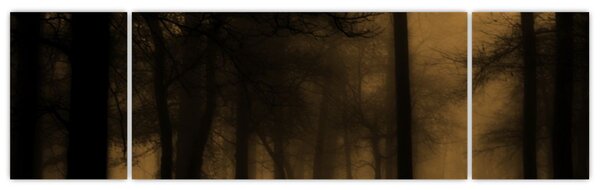 Obraz - Temný les (170x50 cm)