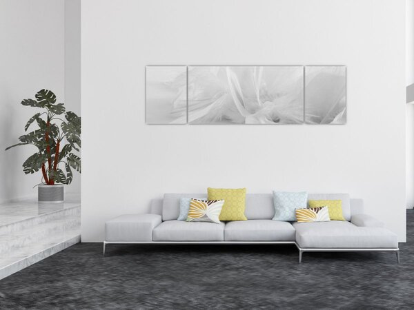 Obraz - Peří (170x50 cm)