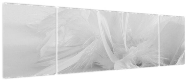 Obraz - Peří (170x50 cm)